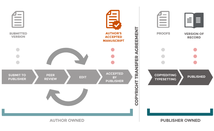 version-of-publication-and-rights